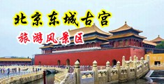 又爽又淫二区中国北京-东城古宫旅游风景区